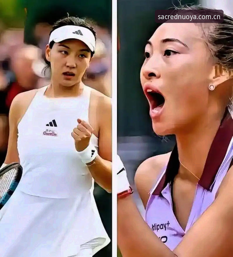 诺亚体育入口 2026法网女单3大看点:郑钦文保分压力、王欣瑜种子突围、张帅挑战强敌